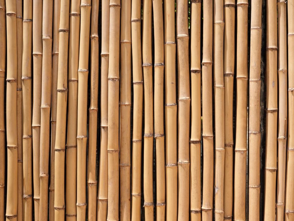 BAMBOO PRIVACY WALLS