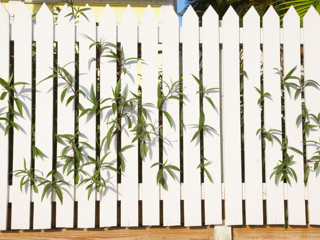 10 CHARMING PICKET FENCE IDEAS TO TRANSFORM YOUR YARD 9 8FT PRIVACY PICKET FENCE