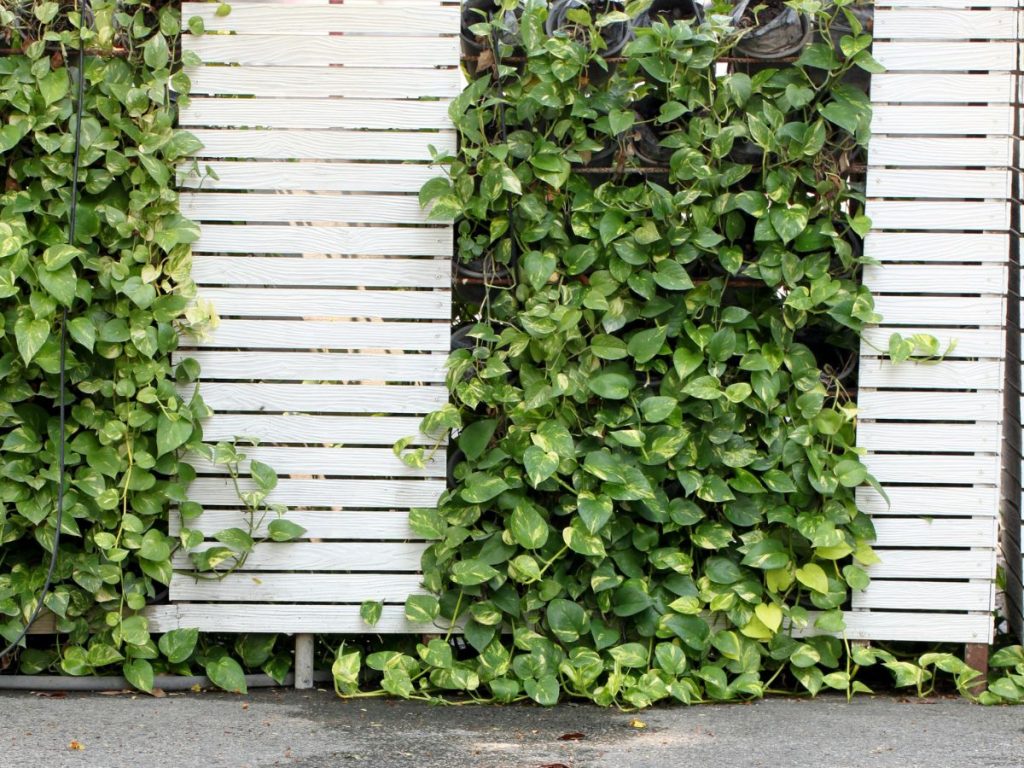 10 CHARMING PICKET FENCE IDEAS TO TRANSFORM YOUR YARD 3 MODERN HORIZONTAL PICKET FENCE