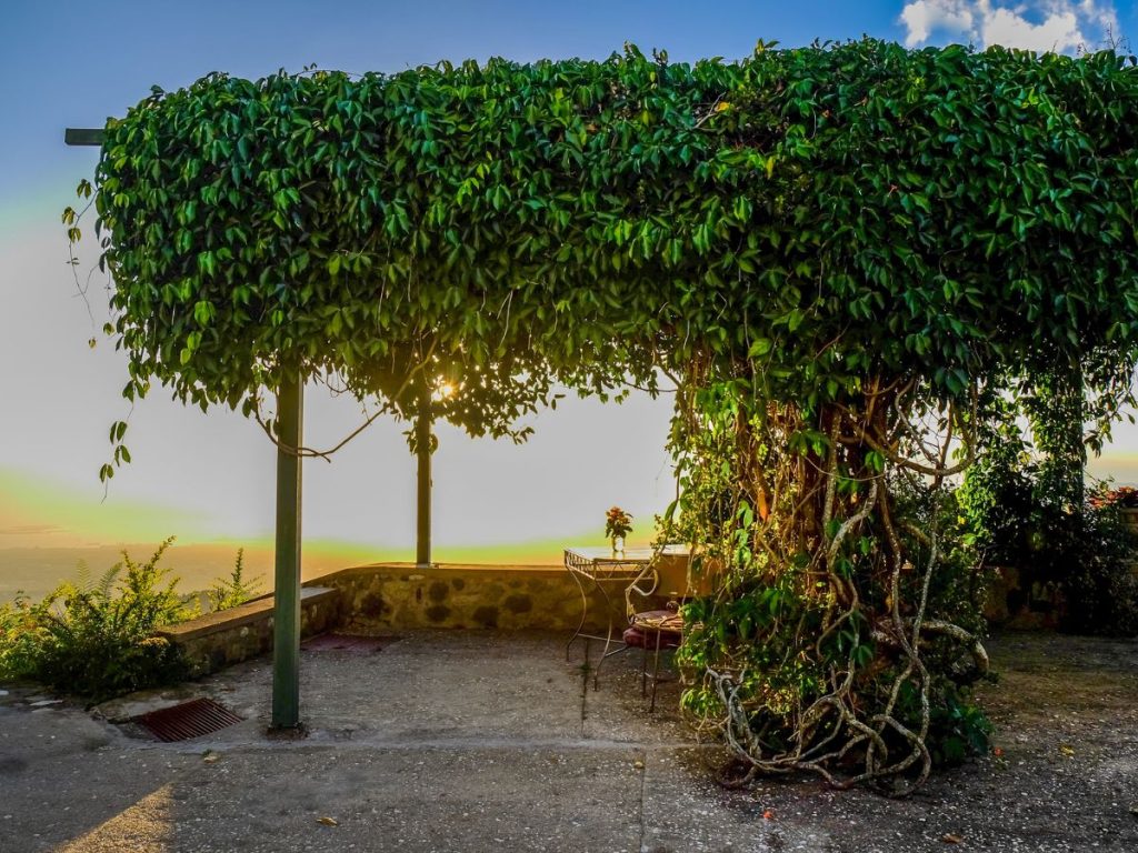 TOP MODERN PERGOLA DESIGNS TO WATCH IN 2025 8 GREEN PERGOLAS
