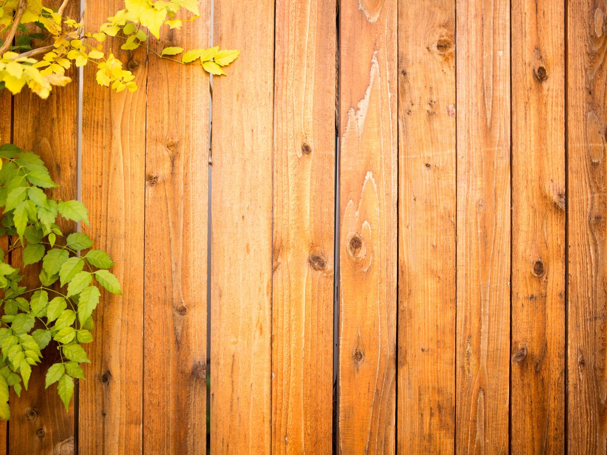 BEST FENCE MATERIAL