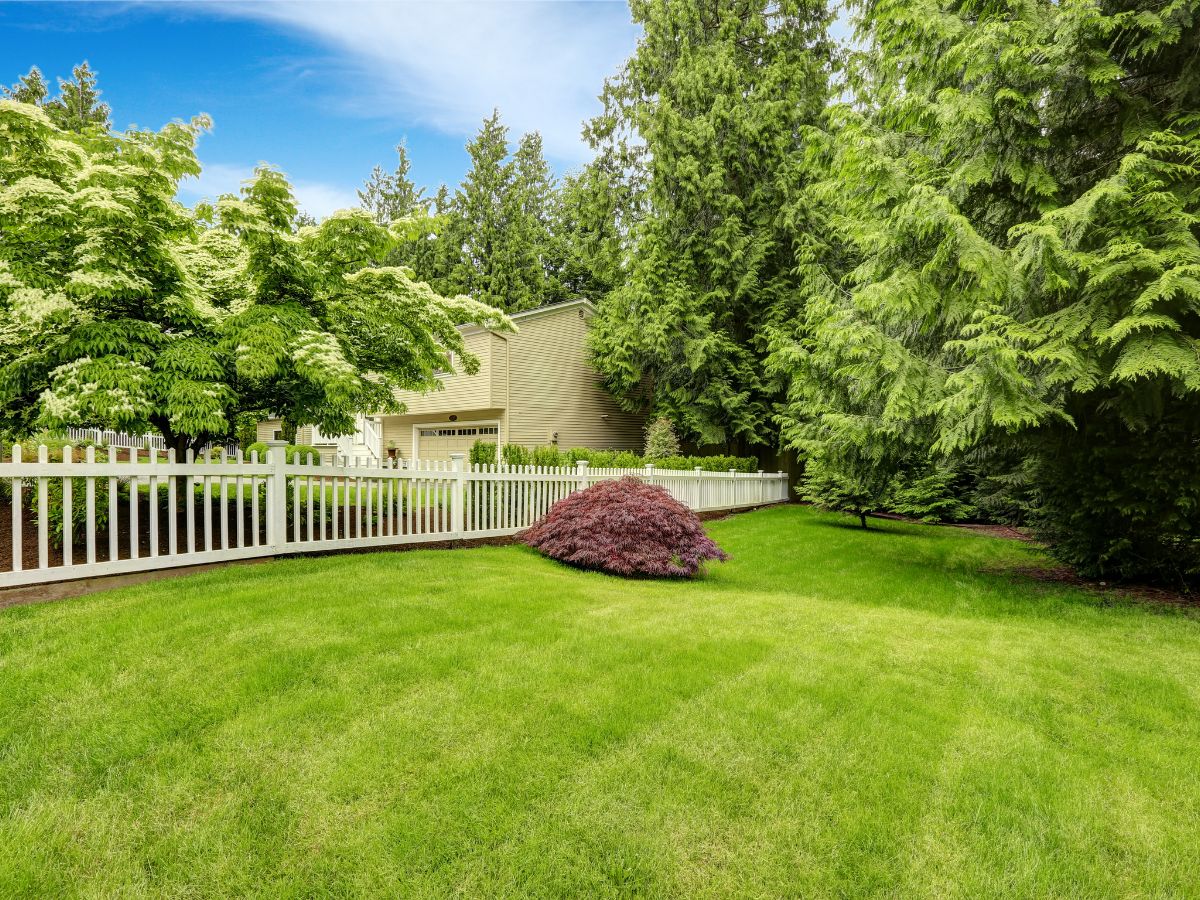 fence styles for front yard