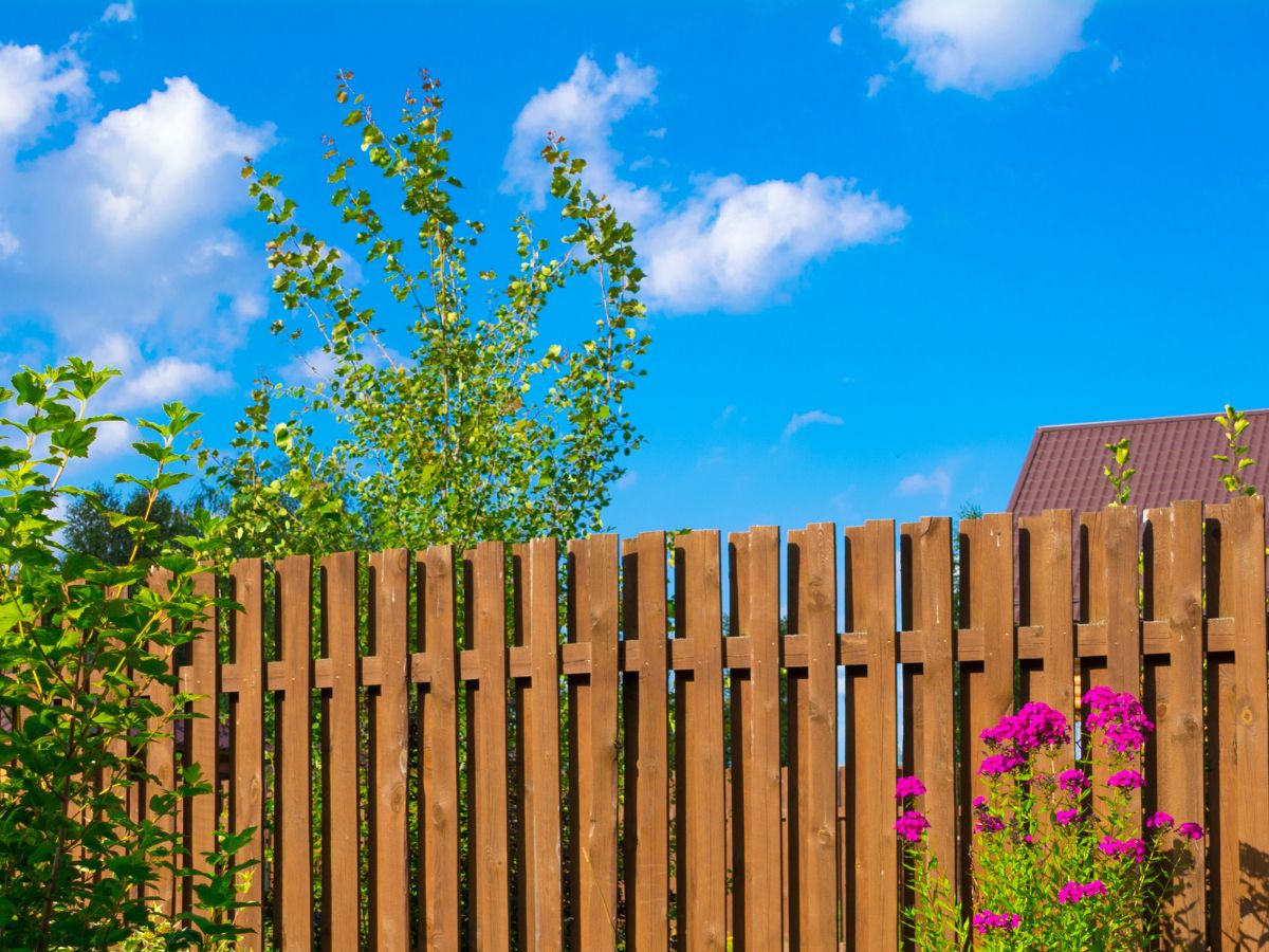 FENCE DESIGNS