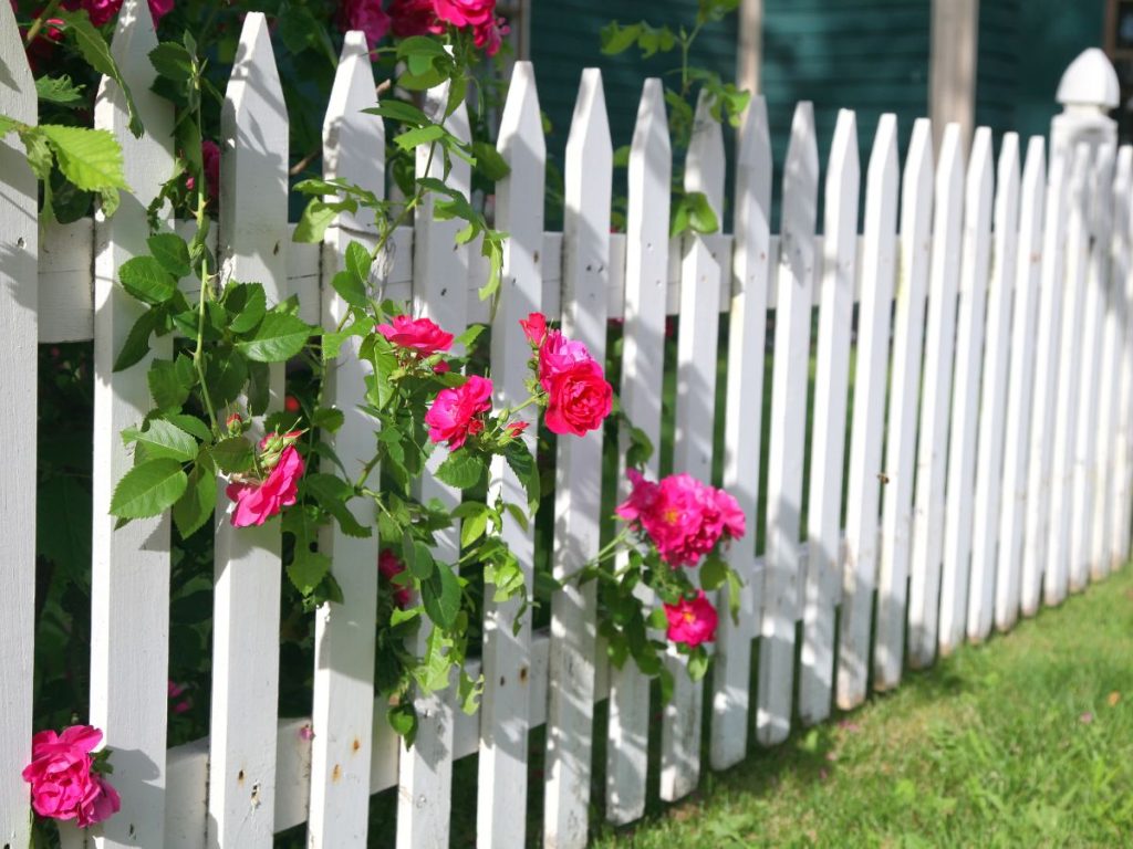 AFFORDABLE FENCE DESIGNS FOR EVERY BUDGETÂ 1 WOODEN PICKET FENCES