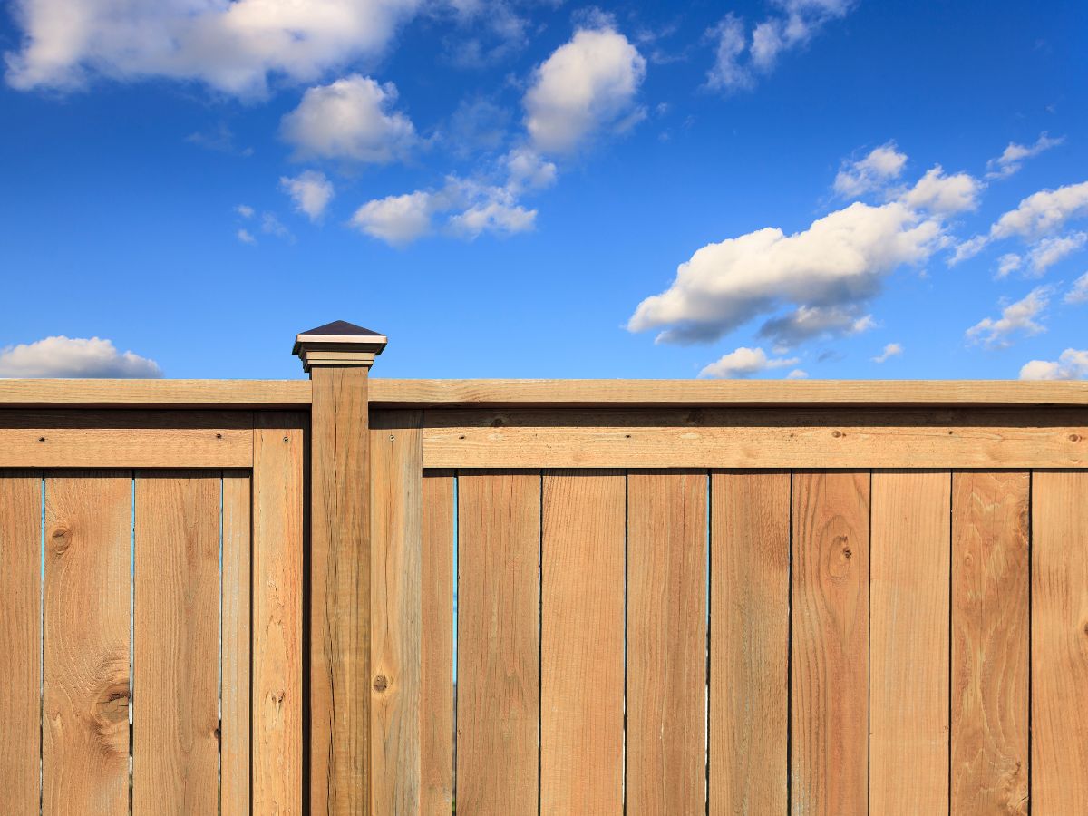 Cedar Wood Fence