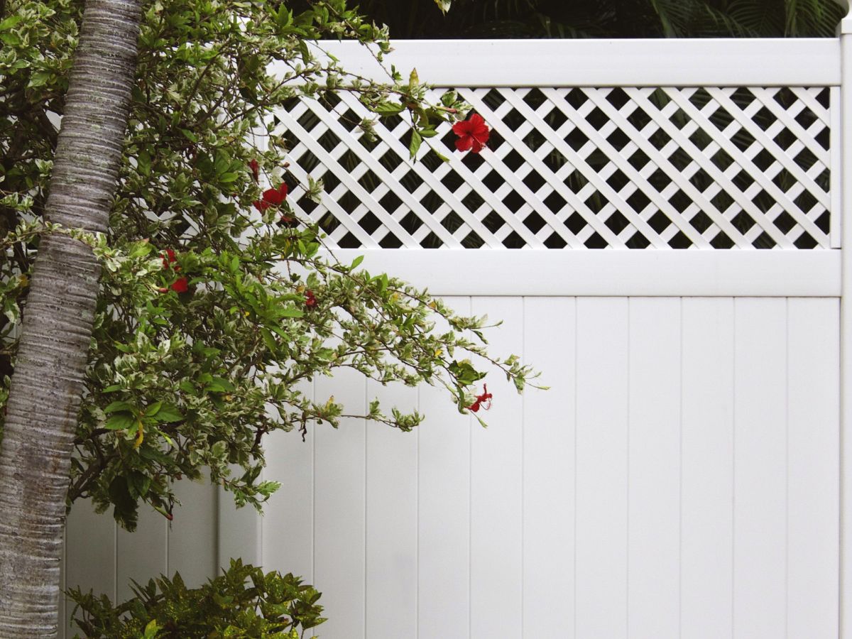 Fence Panels with Lattice Top
