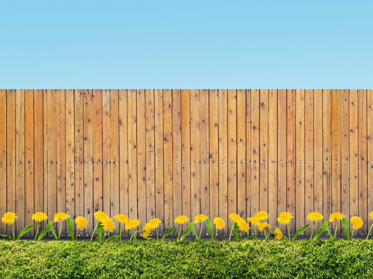 MODERN LOW COST FENCE DESIGNS
