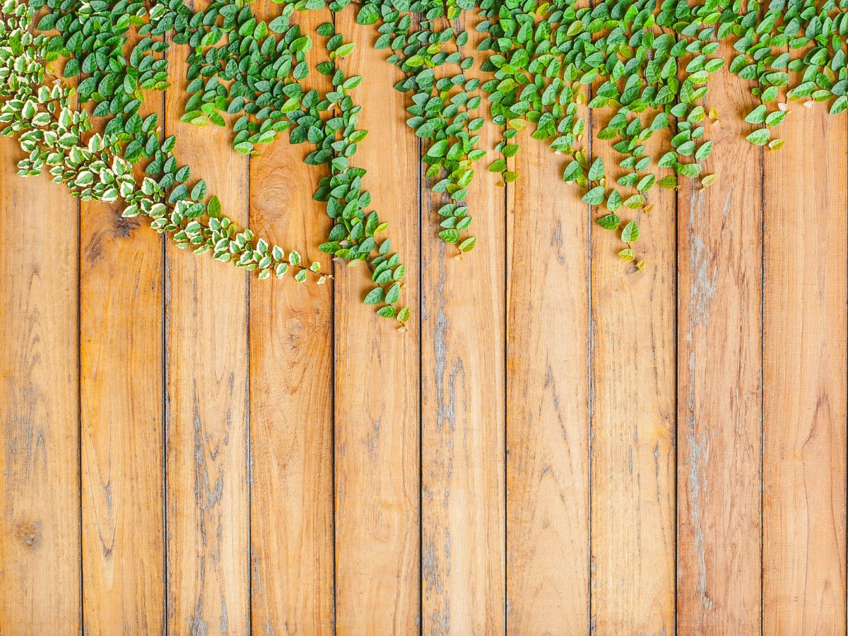 vertical wood fence