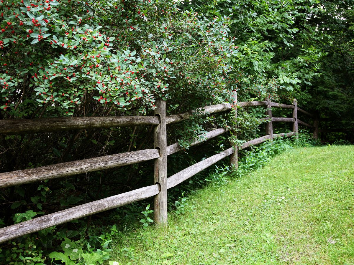SPLIT POST AND RAIL FENCE