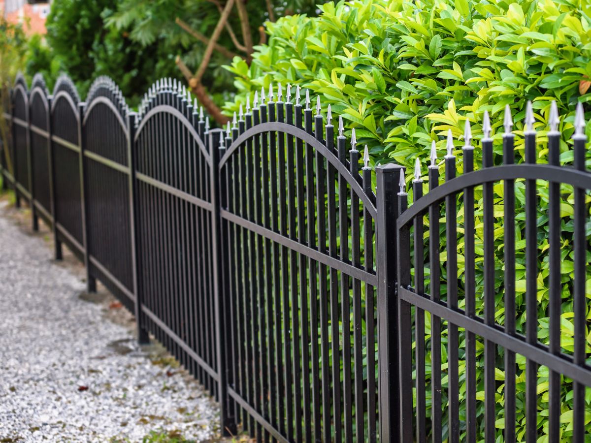 BACKYARD METAL PRIVACY FENCE