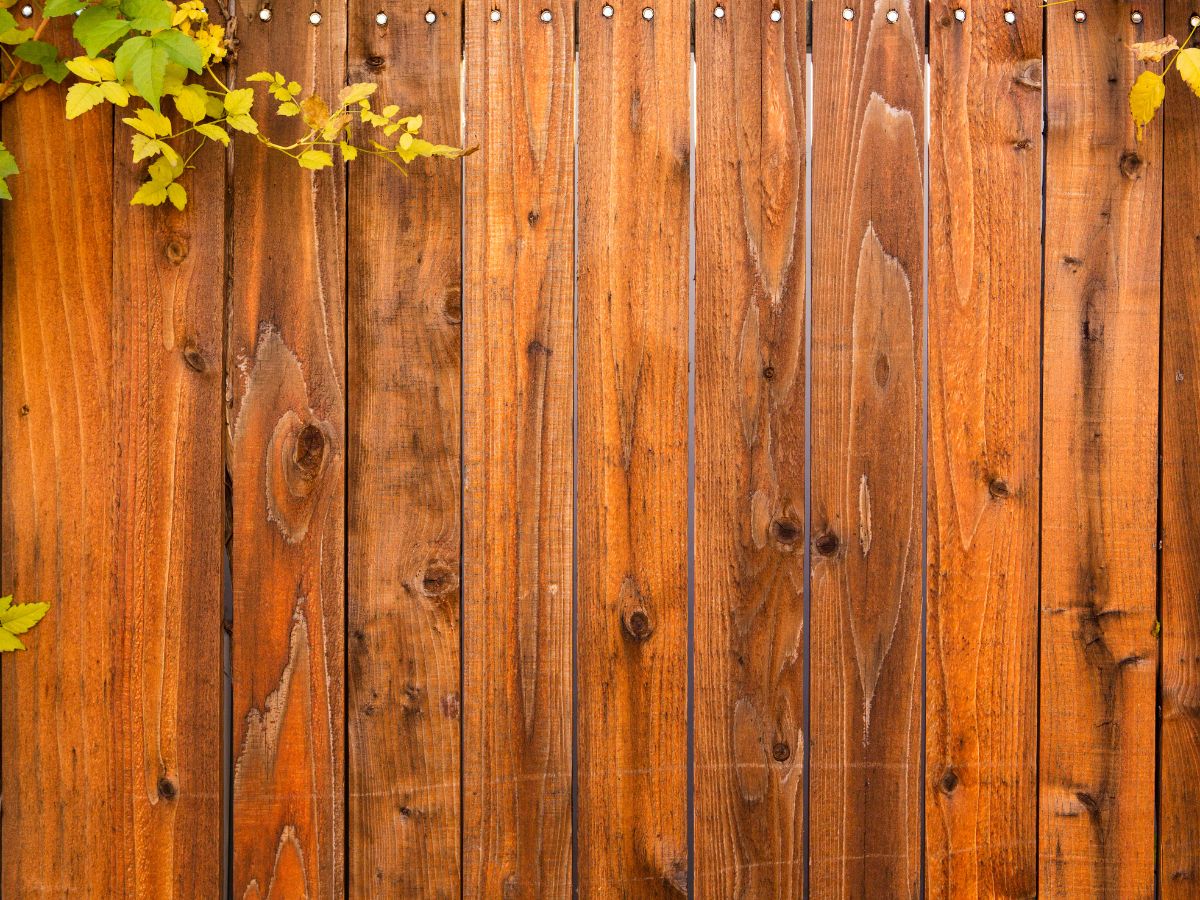 ideas for a privacy fence