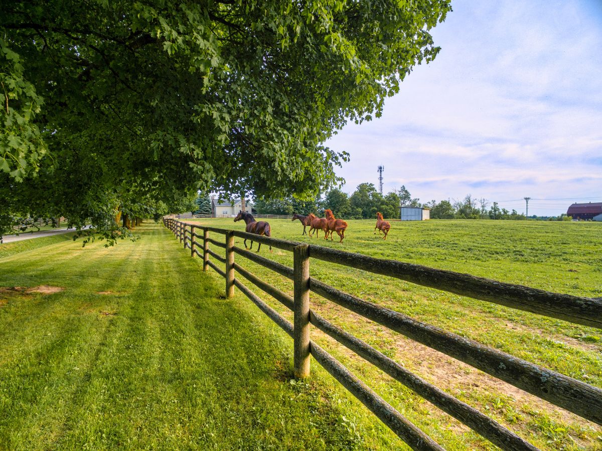 split rail wood fence